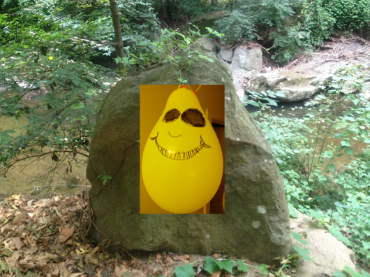 Happy Mr. Smiley Rock